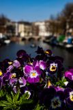 IMG_1614