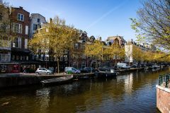 IMG_1650