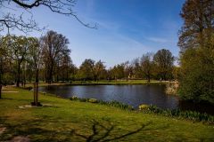 IMG_1668