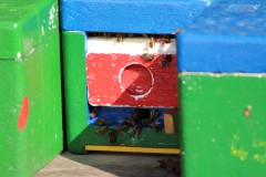 IMG_2646