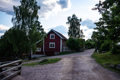 IMG_2694
