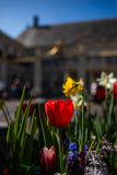 IMG_1744