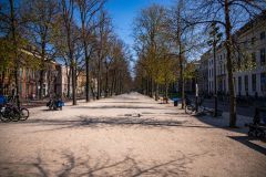 IMG_1747