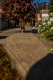 IMG_1808