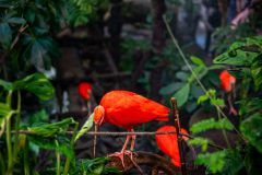 IMG_2416