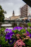 IMG_2441