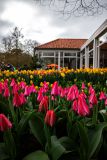 IMG_1339