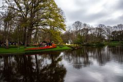 IMG_1342