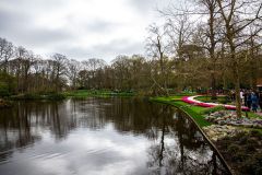 IMG_1343