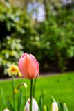 IMG_1369
