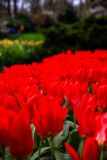 IMG_1380