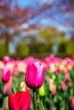 IMG_1407