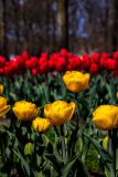 IMG_1425