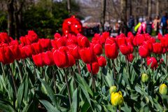 IMG_1426