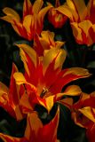 IMG_1461