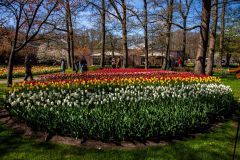 IMG_1499