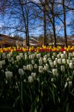 IMG_1500
