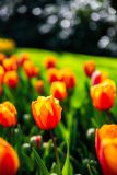IMG_1572
