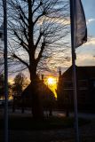 IMG_1931