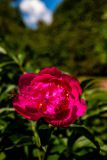 IMG_2728