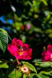 IMG_2744