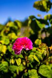 IMG_2747