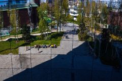 IMG_1224