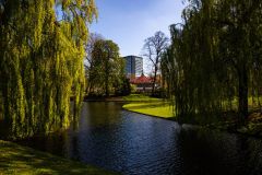 IMG_1245