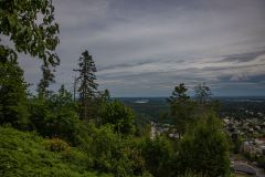 IMG_2881